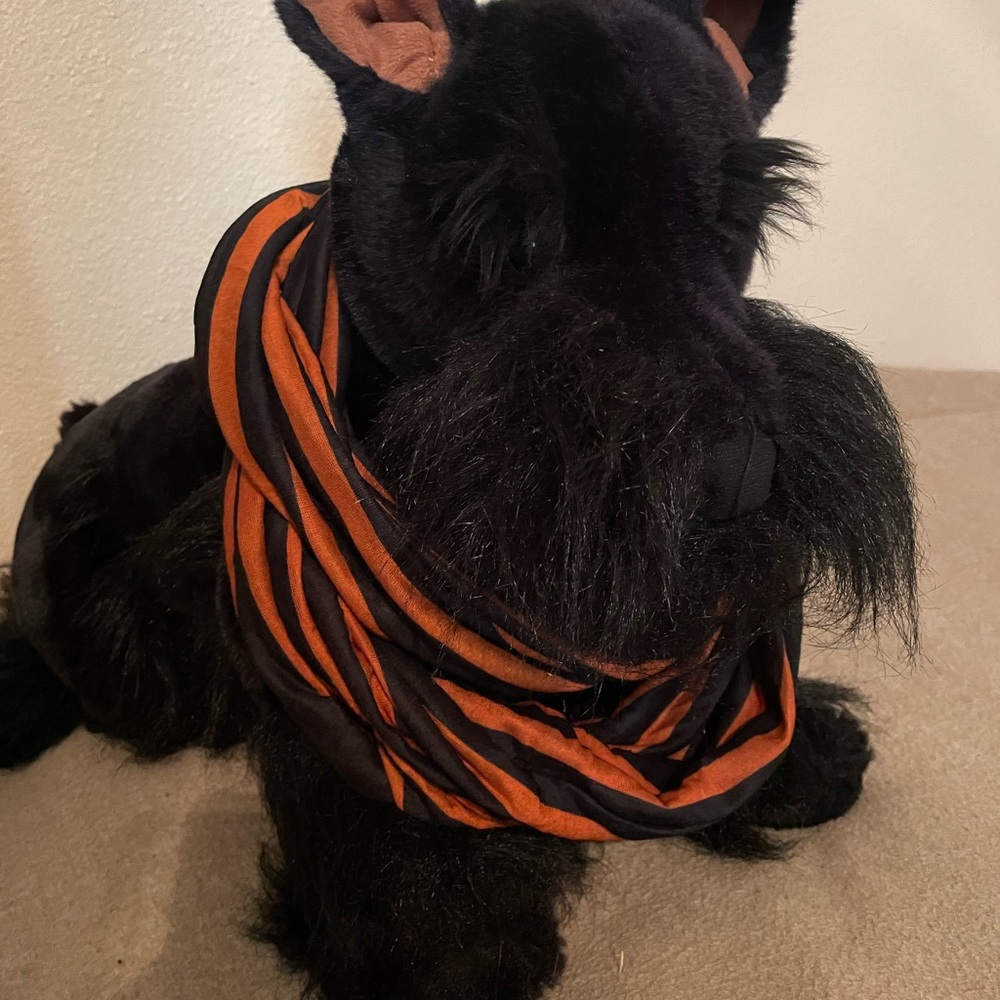 Black/orange infinity scarf
